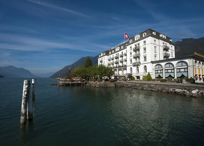 Seehotel Waldstaetterhof Swiss Quality